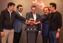 Lahore Qalandars, Peshawar Zalmi renew 10-year PSL contracts with PCB Lahore Qalandars, Peshawar Zalmi renew 10-year PSL contracts with PCB