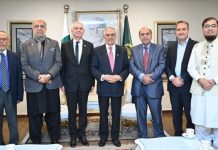 Deputy PM Dar meets IFAC President to discuss financial governance Deputy PM Dar meets IFAC President to discuss financial governance