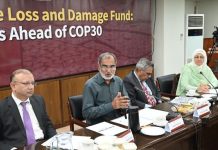 Experts urge climate project readiness ahead of COP30 summit Experts urge climate project readiness ahead of COP30 summit