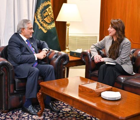 DNA 7-11 Dar, U.S. diplomat discuss strengthening bilateral ties