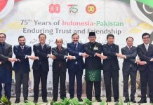 Independence Day of Indonesia