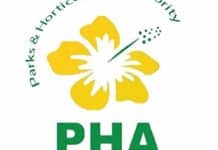 Chrysanthemum Show continues till Dec 15 at Jilani Park Chrysanthemum Show continues till Dec 15 at Jilani Park