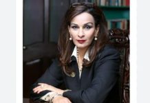 Sherry Rehman calls UN Report a ‘diplomatic victory for Pakistan’ Sherry Rehman calls UN Report a 'diplomatic victory for Pakistan'