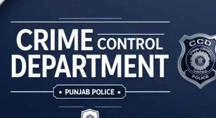 4 CCD to take action against groups committing online crimes