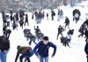 Clouds-sun hide & seek at Ayubia as horse riders, cash in on snowfall buzz at Galiyat Clouds-sun hide & seek at Ayubia as horse riders, cash in on snowfall buzz at Galiyat