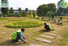 PHA Lahore directs daily field visits for park cleanliness monitoring PHA Lahore directs daily field visits for park cleanliness monitoring