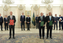 Pakistan seeks Turkish investors for Discos privatization