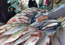 Fish demand rises in Multan as Winter sets in Fish demand rises in Multan as Winter sets in