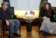 Acting US envoy calls on Interior Minister Mohsin Naqvi Acting US envoy calls on Interior Minister Mohsin Naqvi