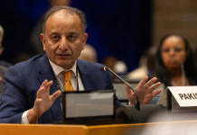 Dr. Musadik Malik Joins UNEA Environment Finance Dialogue