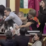 WATCH: Mexico City lawmakers pull hair, trade blows during debate