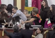 WATCH: Mexico City lawmakers pull hair, trade blows during debate