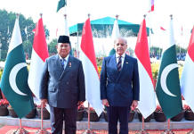 Pakistan, Indonesia pledge to diversify relations in all fields