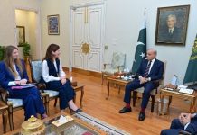 UK Development Minister meets PM Shehbaz UK Development Minister meets PM Shehbaz