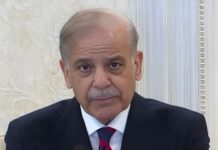 Pakistan in talks with multiple countries over fighter jet sales: PM Shehbaz Pakistan in talks with multiple countries over fighter jet sales: PM Shehbaz
