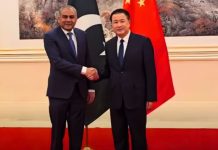 Special protection unit being set up in Islamabad for Chinese citizens: Naqvi Special protection unit being set up in Islamabad for Chinese citizens: Naqvi