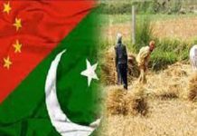 China-Pakistan partnership advances agricultural vocational training