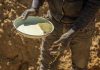 ‘Illegal gold miners’ run residents out of South African settlement 'Illegal gold miners' run residents out of South African settlement