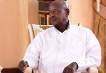 Lukashenko greets Yoweri Kaguta Museveni on re-election as president of Uganda Lukashenko greets Yoweri Kaguta Museveni on re-election as president of Uganda