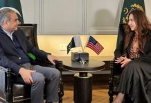 Naqvi, US Envoy agree on joint crackdown on illegal immigration Naqvi, US Envoy agree on joint crackdown on illegal immigration
