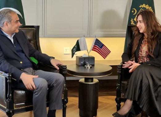 0000 Naqvi, US Envoy agree on joint crackdown on illegal immigration