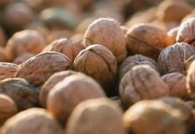 ‘Walnuts play vital role in strengthening immune system’ 'Walnuts play vital role in strengthening immune system'