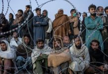 DC directs to deport Afghan refugee till Jan, 10 DC directs to deport Afghan refugee till Jan, 10