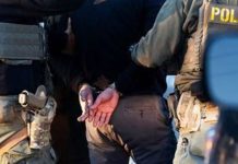 Rawalpindi leads provincial crackdown on illegal hunting in 2025 Rawalpindi leads provincial crackdown on illegal hunting in 2025