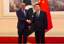 Special protection unit being set up in Islamabad for Chinese citizens: Naqvi