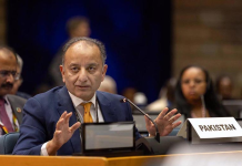 Minister leads Islamabad environment review, orders streamlined action