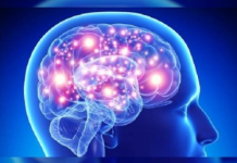 Non-invasive sound therapy boosts hope for Alzheimer’s treatment