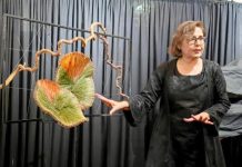 FASP Magnolia hosts learning session on advanced ‘Monobotanic’ floral design FASP Magnolia hosts learning session on advanced 'Monobotanic' floral design