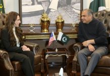 Naqvi, US Envoy agree on joint crackdown on illegal immigration Naqvi, US Envoy agree on joint crackdown on illegal immigration