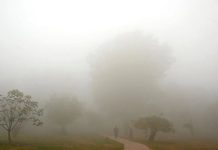 Six critically hurt as car collides with rickshaw amid dense fog Six critically hurt as car collides with rickshaw amid dense fog