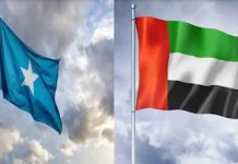 Somalia annuls all agreements with UAE, including port deals Somalia annuls all agreements with UAE, including port deals