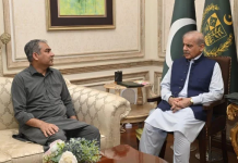 PM Shehbaz to make ‘final decision’ on Pak vs Ind T20 World Cup clash