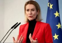 Don’t get sense EU countries ready to give Ukraine date for membership, says EU’s Kallas Don't get sense EU countries ready to give Ukraine date for membership, says EU's Kallas