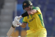 Stallionz secures former Australian captain through direct signing, allowed under the new model