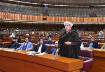 Security official denounces Achakzai’s ‘unfortunate remarks’ on Pakistan Army