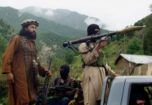 Afghan govt supports TTP, blames Pakistan