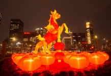 PM Shehbaz greets President Xi, Chinese people on Lunar New Year