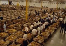 Pakistan assures BAT of policy reforms to curb Illicit tobacco trade Pakistan assures BAT of policy reforms to curb Illicit tobacco trade