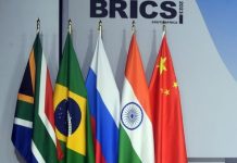 Russia establishes national committee to strengthen BRICS business cooperation Russia establishes national committee to strengthen BRICS business cooperation