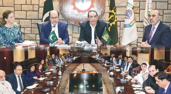 DNA 16-8 FPCCI, Hungary to boost economic cooperation in agri, IT, and Energy Sectors