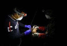 Deadly Nipah virus deemed ‘limited’ by scientists