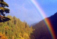 When rainbow meets sunshine: Galiyat becomes a living postcard When rainbow meets sunshine: Galiyat becomes a living postcard