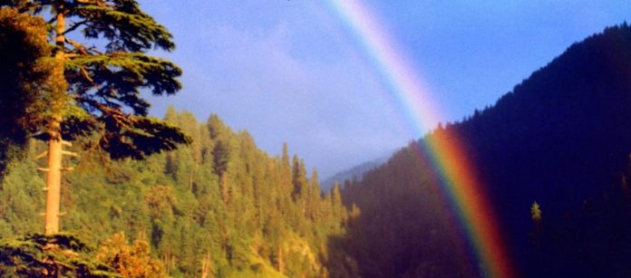 00 When rainbow meets sunshine: Galiyat becomes a living postcard