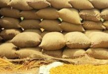 Wheat scandal exposes massive corruption in Sindh Wheat scandal exposes massive corruption in Sindh