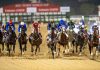 100 horses to compete in 30th Dubai World Cup tomorrow 100 horses to compete in 30th Dubai World Cup tomorrow