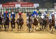100 horses to compete in 30th Dubai World Cup tomorrow 100 horses to compete in 30th Dubai World Cup tomorrow